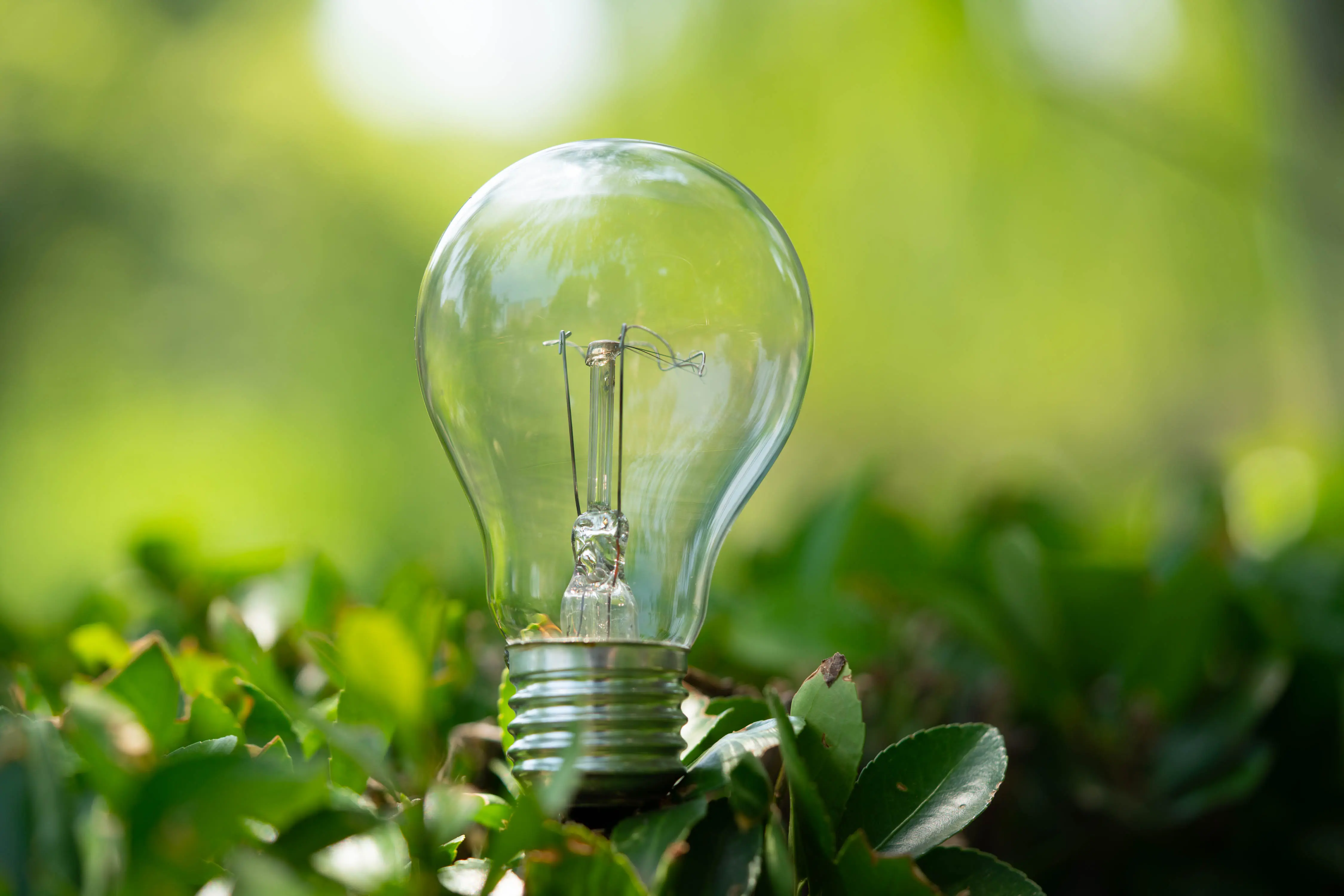 Title: Eco-Friendly Label Materials: The Green Revolution in Custom Adhesive Labels