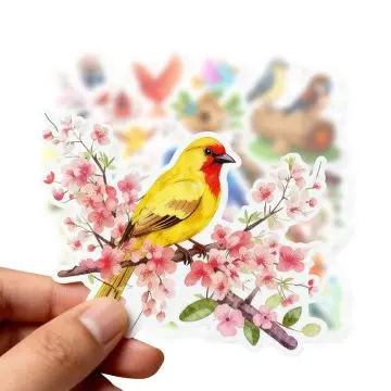Cartoon Bird Wall Stickers Eco-friendly & Waterproof Decor